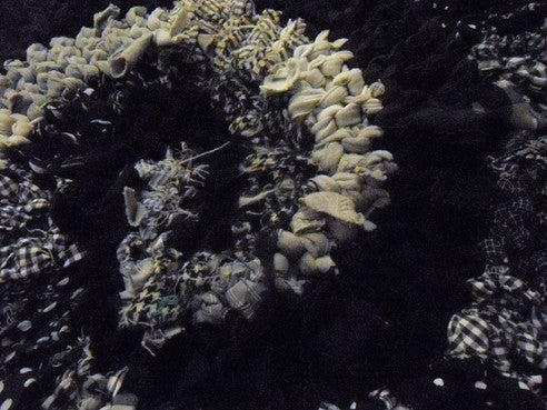 Black and White and Gray Spiral Rug, 44" - Knitted rug -  -  Karen Tiede Studio - 4