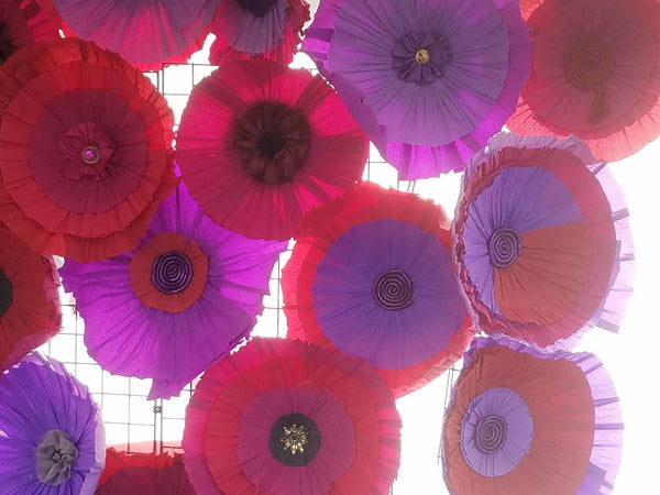 Wall O'Flowers Backdrop: 14 poppies