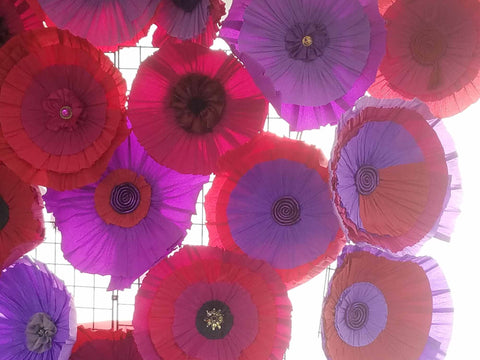 Wall O'Flowers Backdrop: 14 poppies