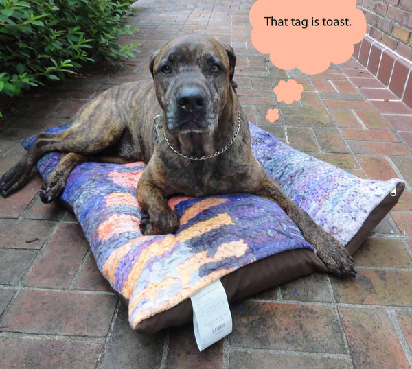 Purple and Peach Climbing Bars Dog Bed - Dog Beds -  -  Karen Tiede Studio - 8